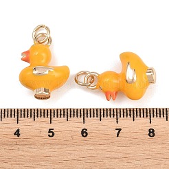 Brass Enamel Pendants&nbsp;KK-L275-38G