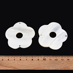 Natural Freshwater Shell Connector Charms&nbsp;SHEL-N038-16