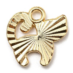 Alloy Charms&nbsp;ENAM-L042-05G