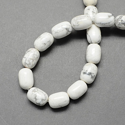 Barrel Shaped Gemstone Natural Howlite Stone Beads Strands&nbsp;G-S114-29