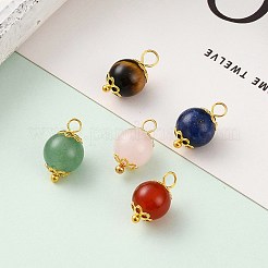 Natural Lapis Lazuli & Red Agate & Green Aventurine & Rose Quartz & Tiger Eye Pendants&nbsp;X-PALLOY-JF00580