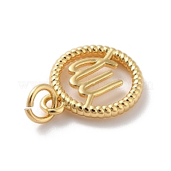 Brass Charms&nbsp;KK-A160-20G-06