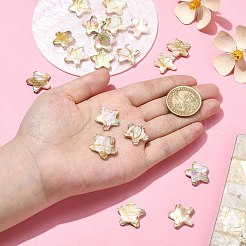 20Pcs Drawbench Style Natural Freshwater Shell Beads&nbsp;BSHE-CJ0001-08