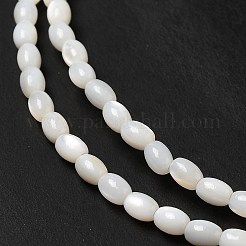 Natural Freshwater Shell Beads Strand&nbsp;BSHE-E026-16B
