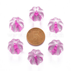 Transparent Acrylic Beads&nbsp;TACR-S154-19A-82