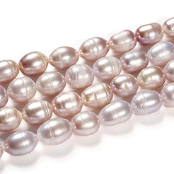 Natural Cultured Freshwater Pearl Beads Strands&nbsp;PEAR-R064-16