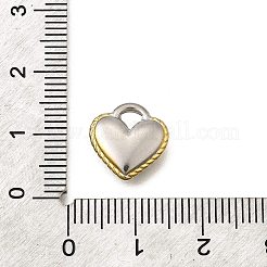 304 Stainless Steel Charms&nbsp;STAS-K252-07PG