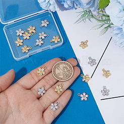 20Pcs 2 Colors Brass with Cubic Zirconia Charms&nbsp;KK-PH0012-42