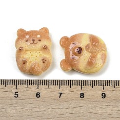 Animal Resin Cabochons&nbsp;RESI-K043-17