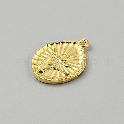 Alloy Enamel Pendants&nbsp;FIND-WH20032-61C