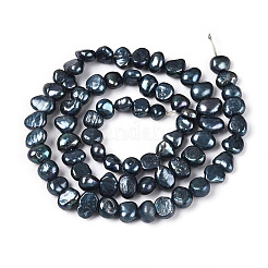 Natural Cultured Freshwater Pearl Beads Strands&nbsp;PEAR-P002-54B