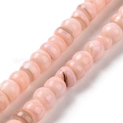 Natural Cultured Freshwater Shell Beads Strands&nbsp;SHEL-F002-01