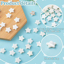 60Pcs Natural Shell Beads Strands&nbsp;SHEL-PH0002-30