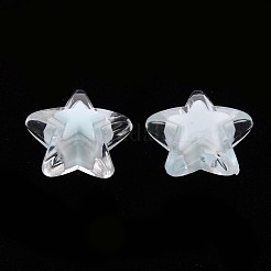 Transparent Acrylic Beads&nbsp;TACR-S152-11A-10