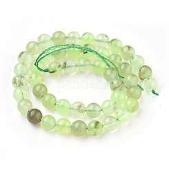 Natural Prehnite Beads Strands&nbsp;X-G-I250-01D