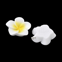 Opaque Resin Pendants&nbsp;FIND-K024-01