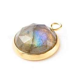 Handmade Natural Mixed Gemstone Pendants&nbsp;PALLOY-JF00791