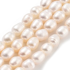Natural Cultured Freshwater Pearl Beads Strands&nbsp;PEAR-P062-16B-X