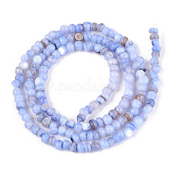 Natural Freshwater Shell Dyed Beads Strands&nbsp;SHEL-T020-29B-01