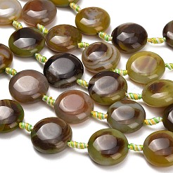 Natural Agate Beads Strands&nbsp;G-A321-L04-01