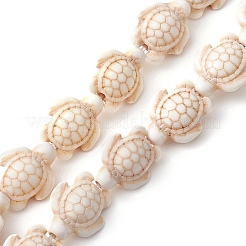 Dyed Synthetic Turquoise Beads Strands&nbsp;G-YW0001-51