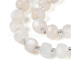 Natural White Moonstone Beads Strands&nbsp;G-T144-A01-10