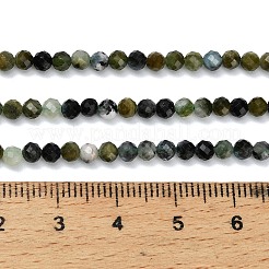 Natural Green Tourmaline Beads Strands&nbsp;G-C262-A05-3mm