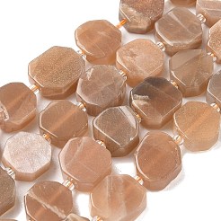 Natural Sunstone Beads Strands&nbsp;G-I394-D22