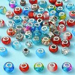 DIY Glass & Resin & Alloy Enamel European Beads Jewelry Making Finding Kit&nbsp;DIY-YW0009-01