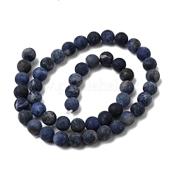 Natural Sodalite Beads Strands&nbsp;X-G-Q462-8mm-07