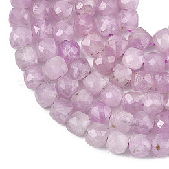 Natural Kunzite Beads Strands&nbsp;G-P587-C01-01A