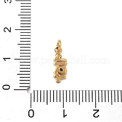 304 Stainless Steel Micro Pave Cubic Zirconia Charms&nbsp;STAS-D364-01G