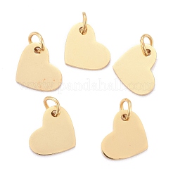 Ion Plating(IP) 304 Stainless Steel Stamping Blank Tag Charms&nbsp;STAS-I311-19G