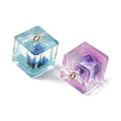 Luminous Transparent Resin Pendants&nbsp;RESI-Z038-14G
