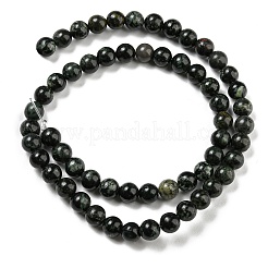 Natural Serpentine Beads Strands&nbsp;G-P504-6mm-01