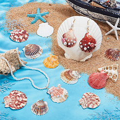32Pcs 4 Style Natural Shell Pendant&nbsp;PALLOY-PH01861