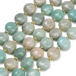 Natural Amazonite Beads Strands&nbsp;G-H005-B13-01