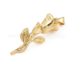 Brass Pendants&nbsp;KK-K408-35B-G