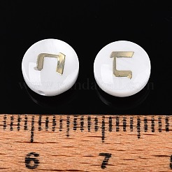 Natural Freshwater Shell Beads&nbsp;BSHE-ZX007-03C