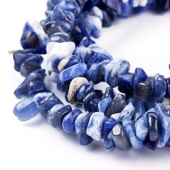 Natural Sodalite Chips Beads Strands&nbsp;X-F024