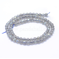 Natural Labradorite Beads Strands&nbsp;G-P342-09A-5mm-A++