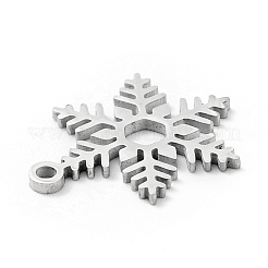 Non-Tarnish 201 Stainless Steel Pendants&nbsp;STAS-E157-04P