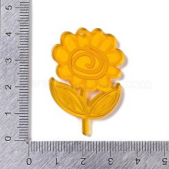Acrylic Pendants&nbsp;OACR-R271-07B