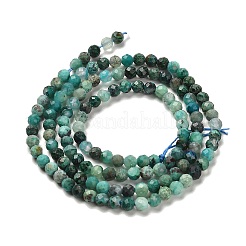 Natural Chrysocolla Beads Strands&nbsp;G-K373-B06-03