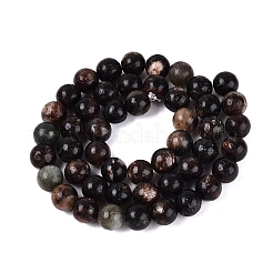 Natural Biotite Beads Strands&nbsp;G-Q616-01C
