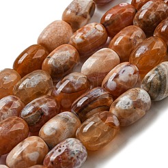 Natural Dragon Veins Agate Beads Strands&nbsp;G-A223-D11-01E