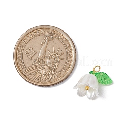 20Pcs Opaque Acrylic Pendants&nbsp;PALLOY-JF02870