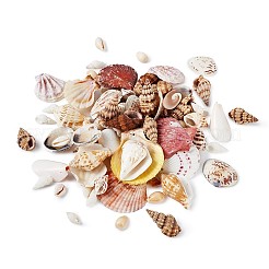 Mixed Shell Beads&nbsp;BSHE-TA0002-05