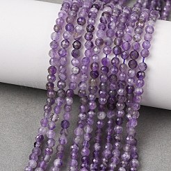 Natural Amethyst Beads Strands&nbsp;G-T108-35