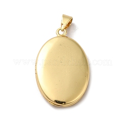 Eco-Friendly Rack Plating Brass Locket Pendants&nbsp;KK-F853-23G